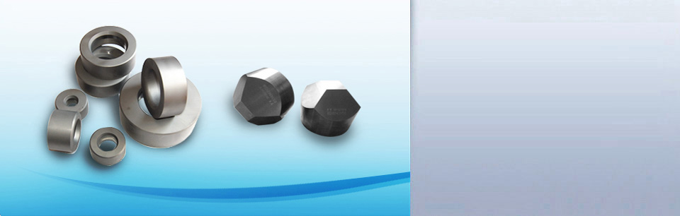 Tungsten Carbide Anvil